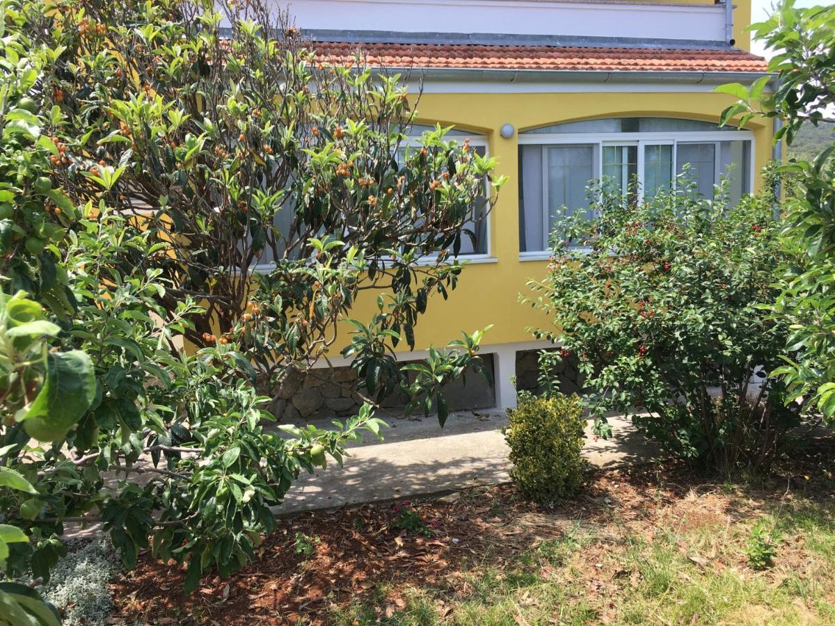 Apartments With A Parking Space Bozava, Dugi Otok - 8108 Exterior foto