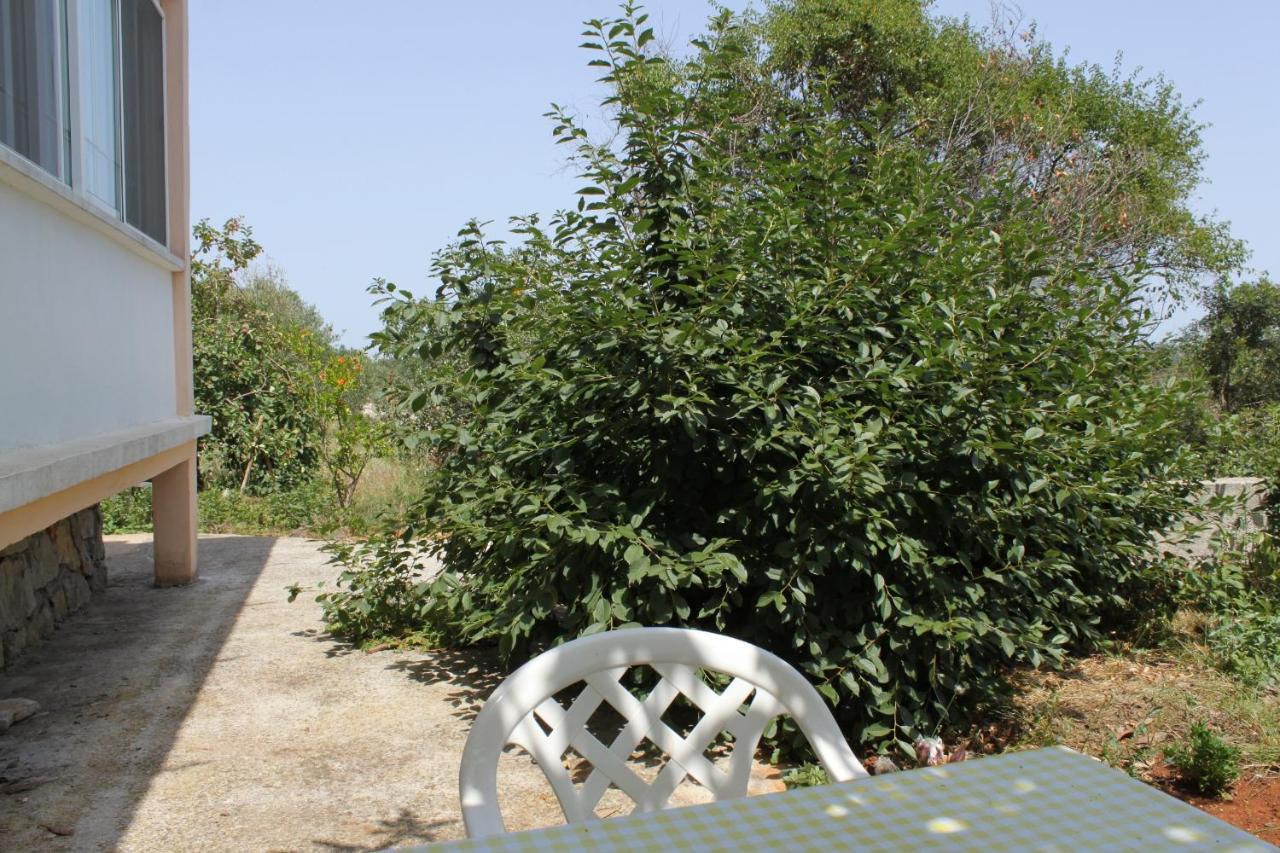 Apartments With A Parking Space Bozava, Dugi Otok - 8108 Exterior foto